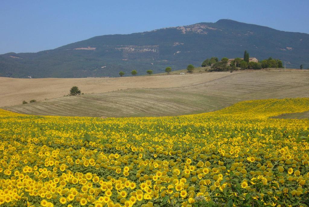 B&B Giuseppe Κιούζι Εξωτερικό φωτογραφία